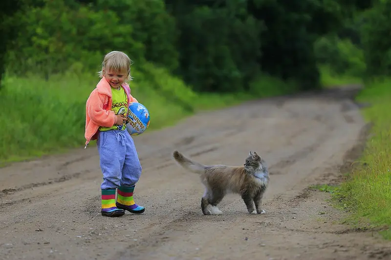 Aufrechterhaltung einer guten Beziehung zwischen Katze und Kind